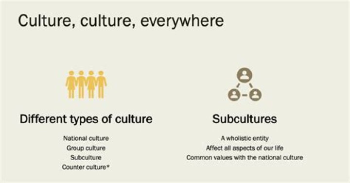 Whats the difference between subculture and microculture?