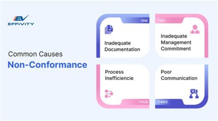 Whats the meaning of conformant?