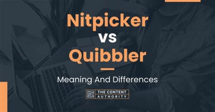 Whats the meaning of nitpicker?