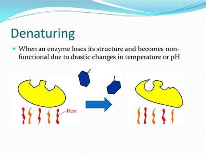 Whats the opposite of denaturation?