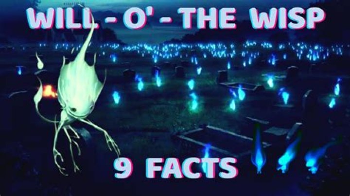 Whats the opposite of wisp?