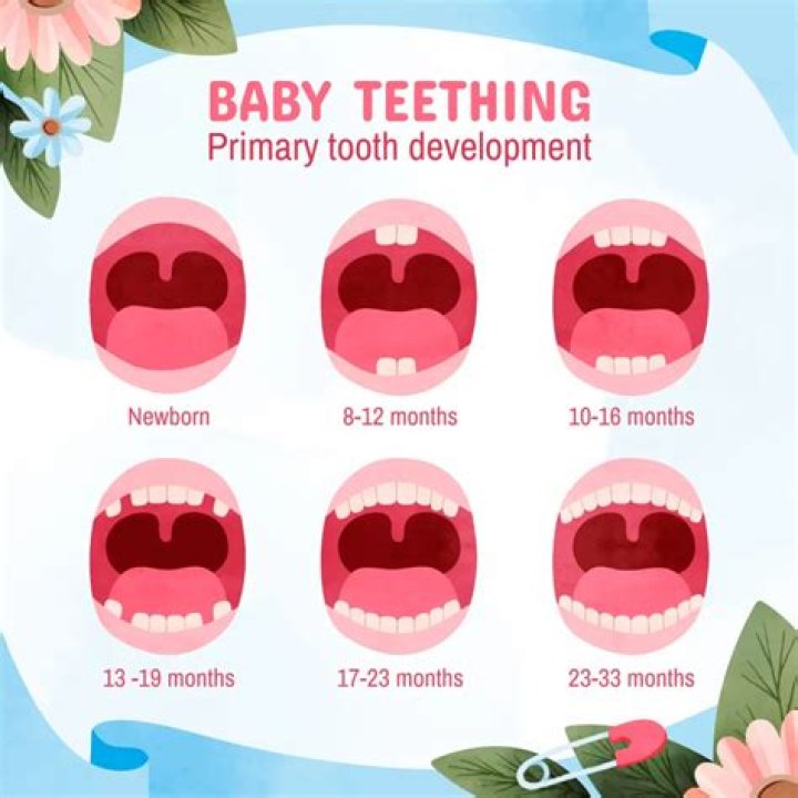 When can a baby start to teeth?