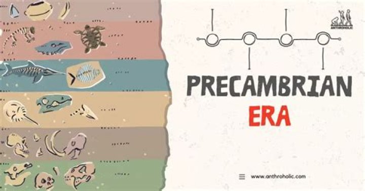 When did precambrian time end?