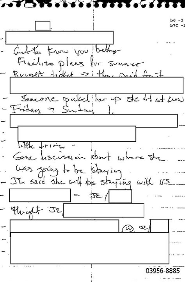 When did redacted become a word?