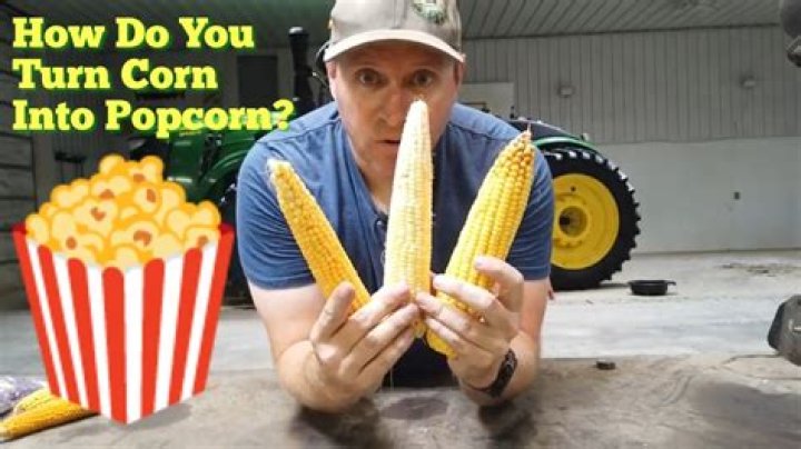 When does corn pop?