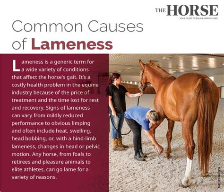 When does lameness mean?