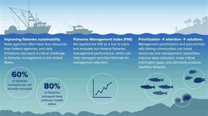 When is a fishery sustainable?