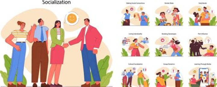 When is socialization most important?