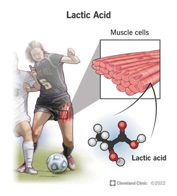When lactic acid is produced?