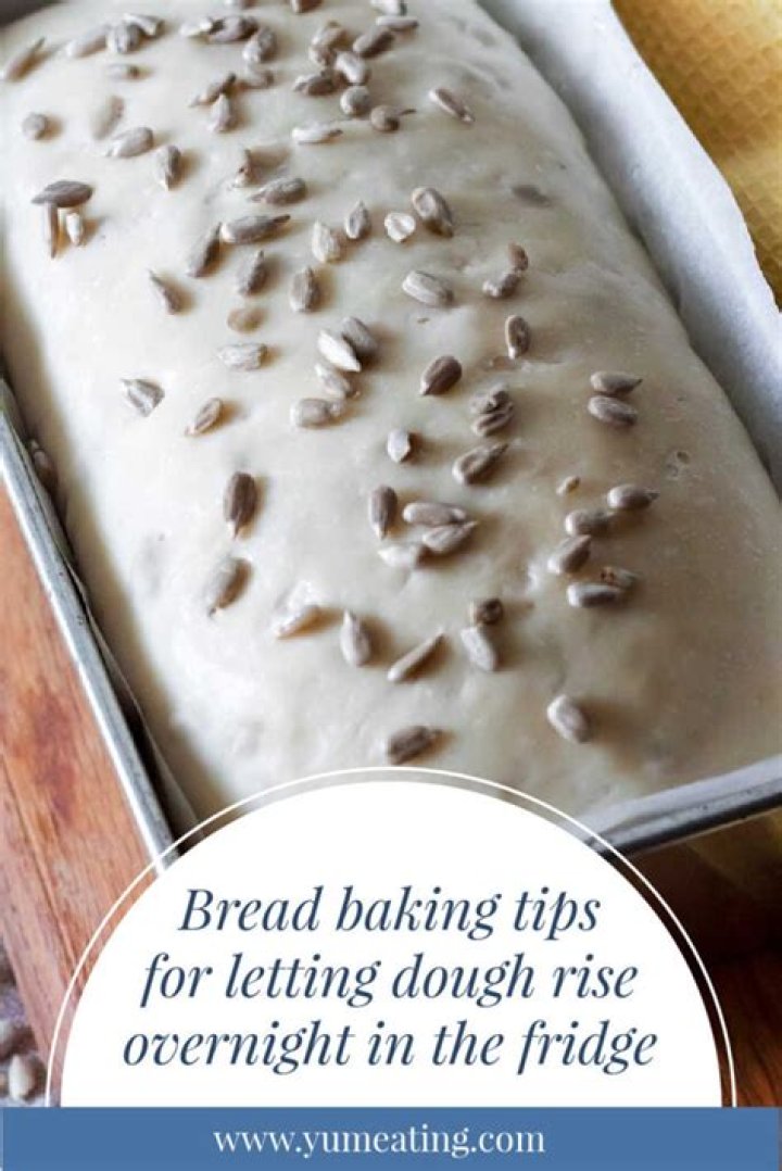 When letting dough rise overnight?