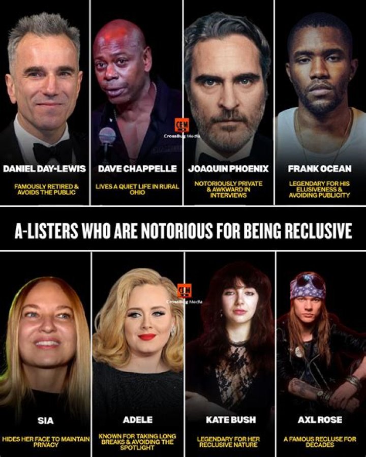 When sia became famous?