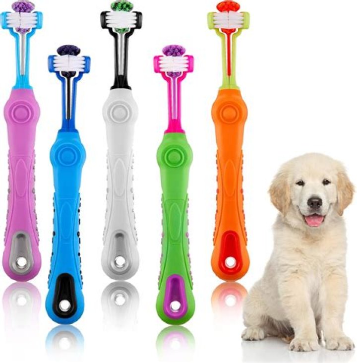 When to toothbrush a puppy?
