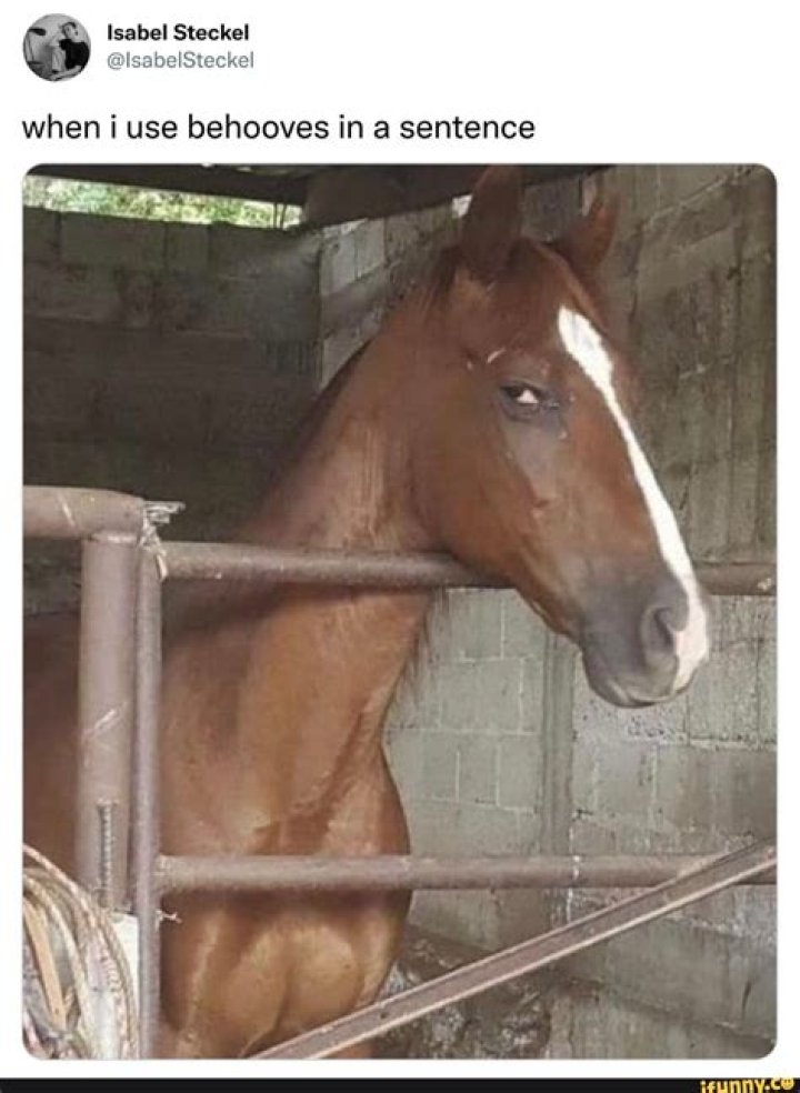 When to use behooves?