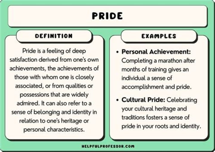 When to use pride and proudness?