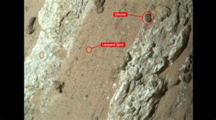 When was olivine discovered?