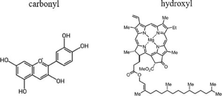 Where are hydroxyl found?