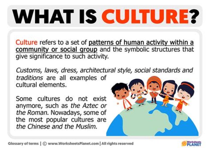 Where culture comes from?