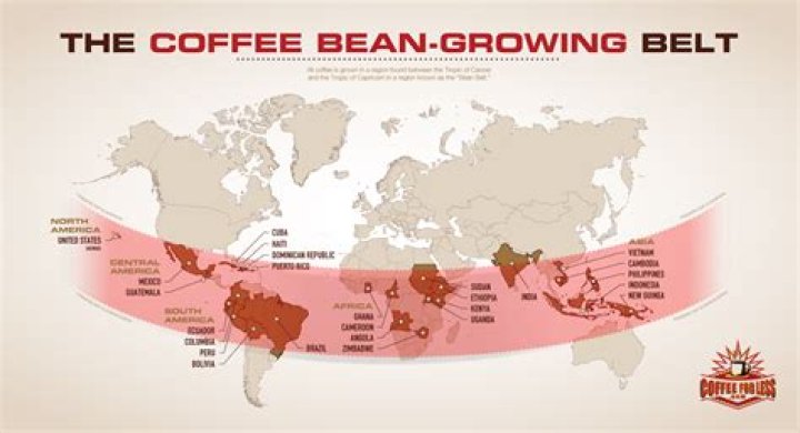 Where did chicory coffee originate?
