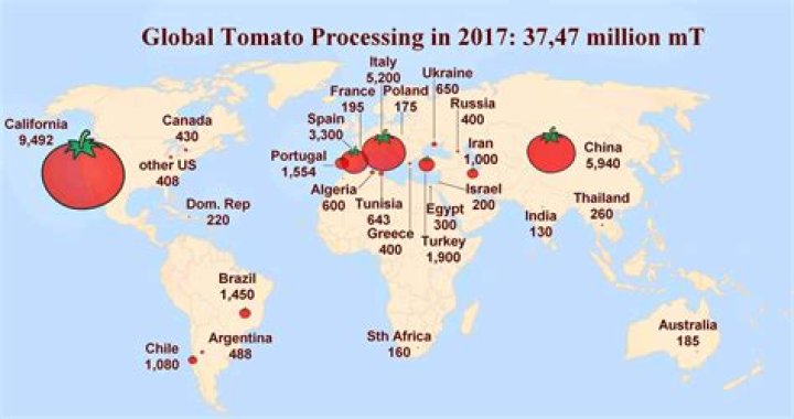 Where did disquietude come from?