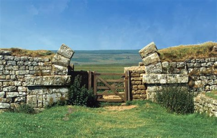 Where did the silures come from?