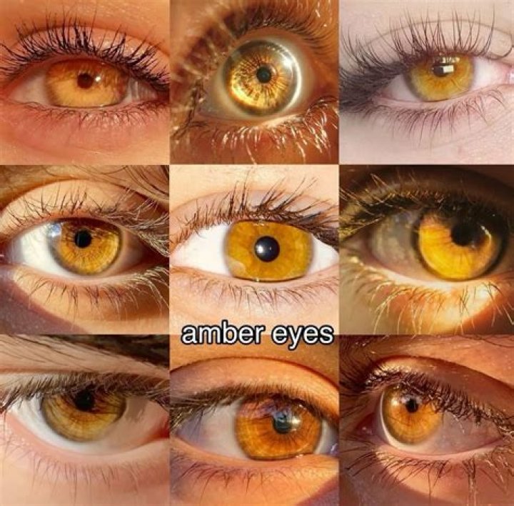 Where do amber colored eyes come from?