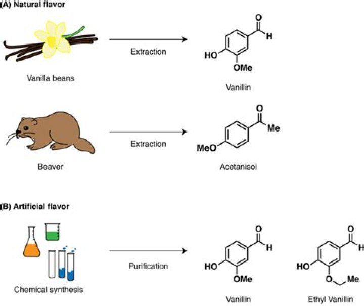 Where does artificial vanilla flavoring come from?