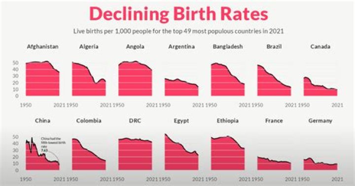Where does birthrate come from?