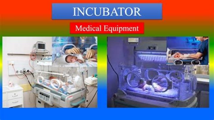Where does incubation mean?