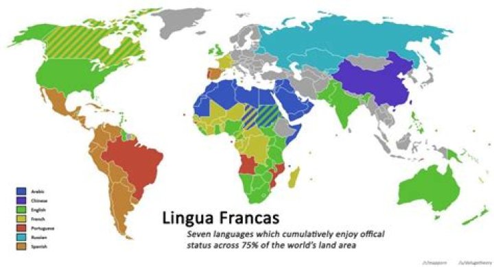 Where does lingua franca occur?
