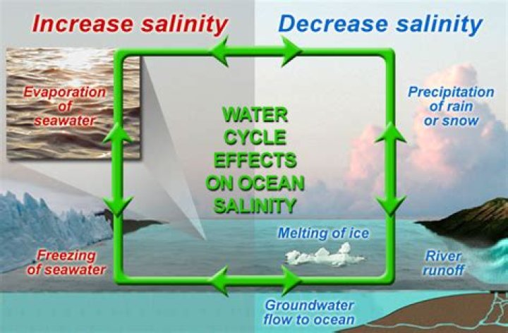 Where does salinization occur?