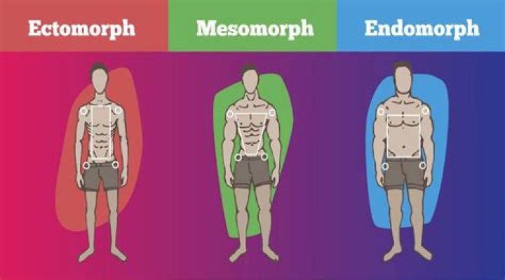 Where does the word somatotype come from?