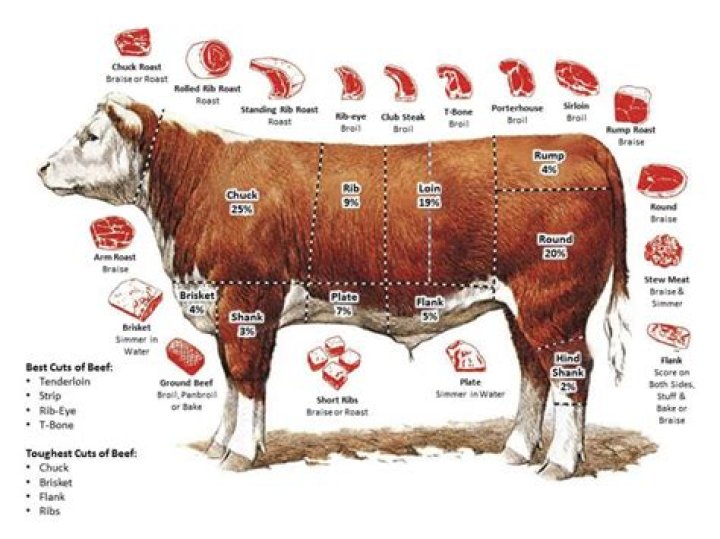 Where does viande come from?