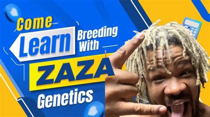 Where does zaza live?