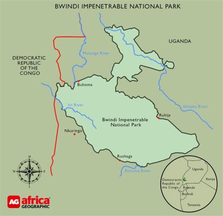 Where is bwindi impenetrable national park?