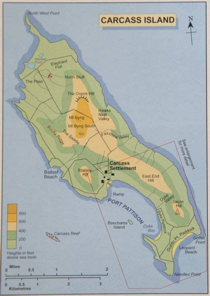 Where is carcass island?