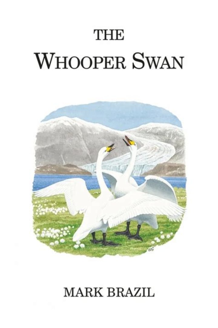 Where the whooper swan lives?