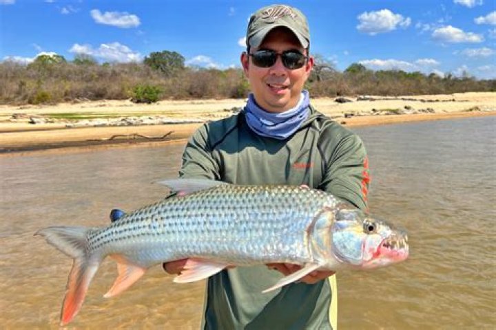 Where to catch tiger fish?