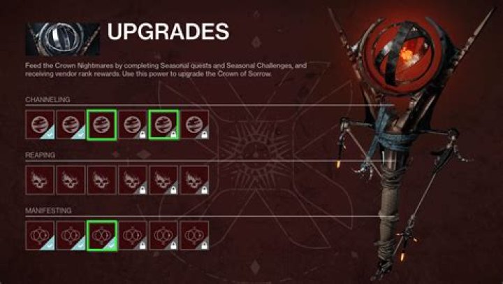 Where to get austringer destiny 2?