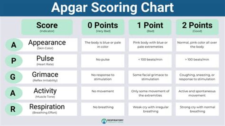 Which apgar score should the nurse assign?