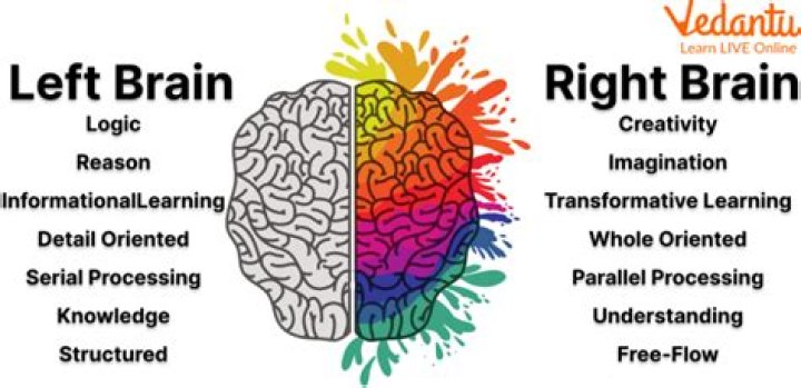 Which brain works for left handers?