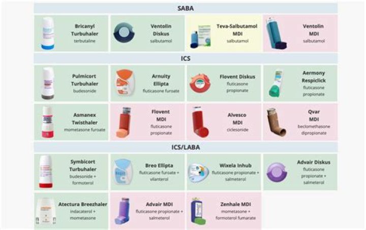 Which cannabinoid is known as a potent bronchodilator?