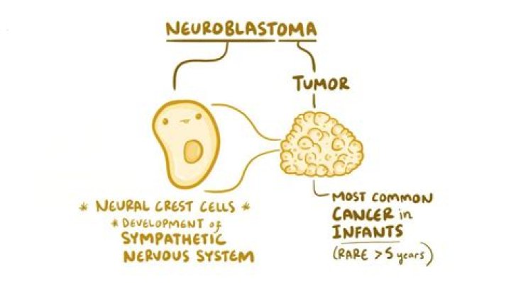 Which chromosome is neuroblastoma found on?