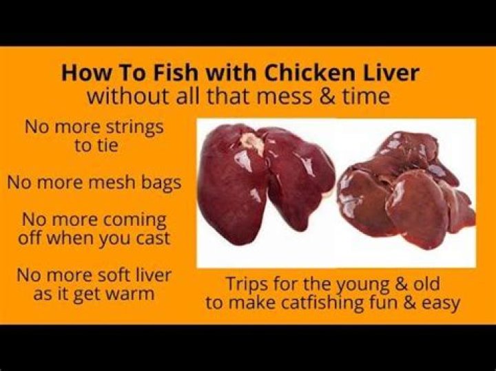 Which fish have livers?