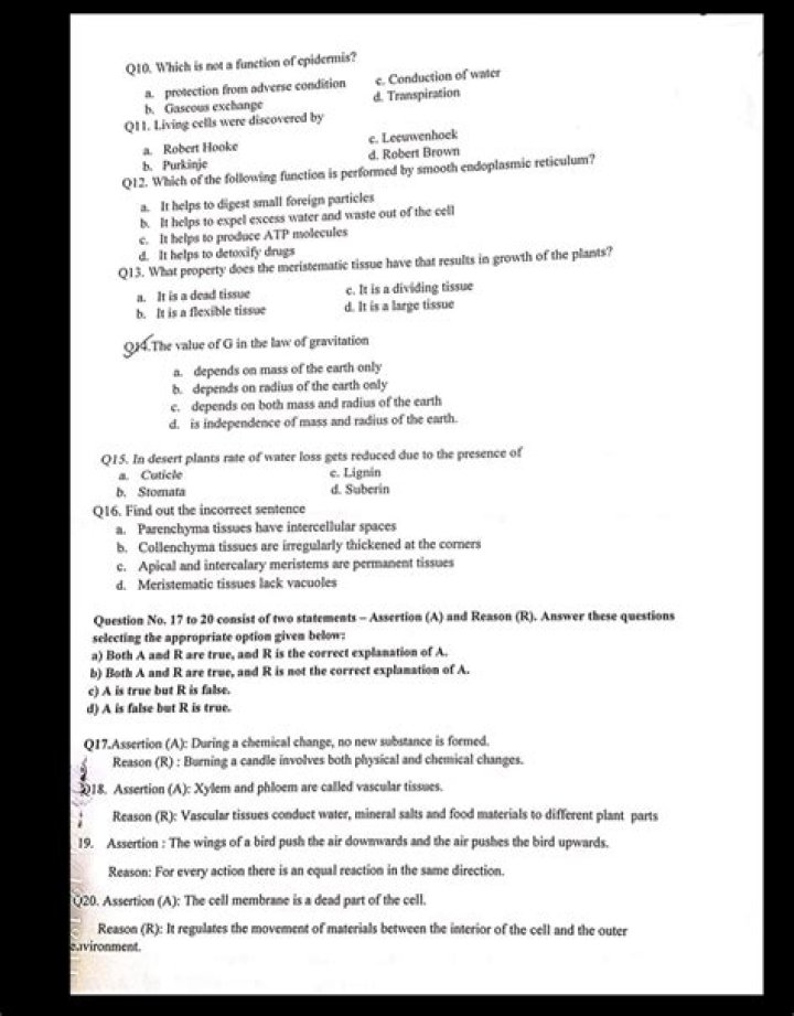 Which is not a function of epidermis?