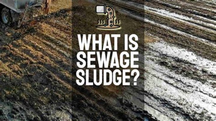 Which is sewage sludge?