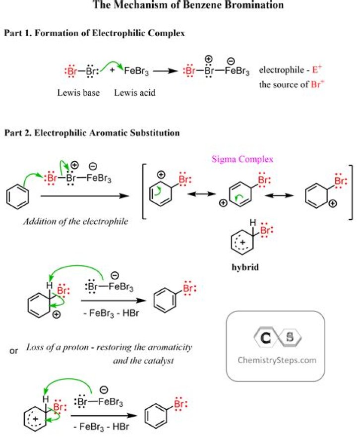 Which is the electrophile in the acylation of benzene?