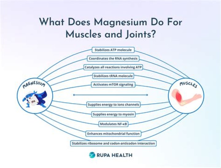 Which magnesium is best for muscle cramps?