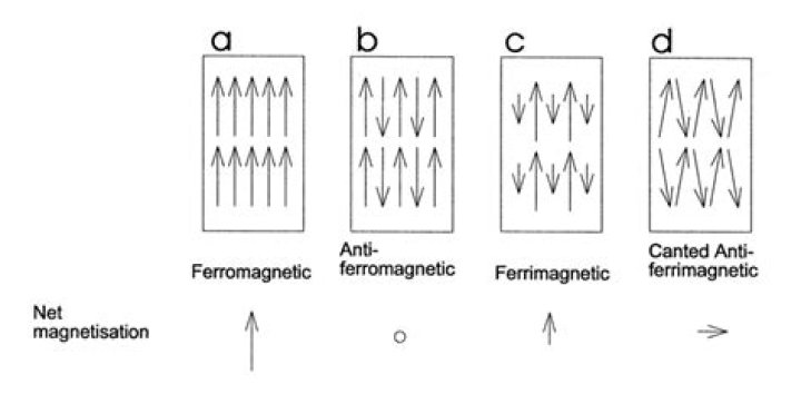 Which of the following exhibits spontaneous magnetisation?