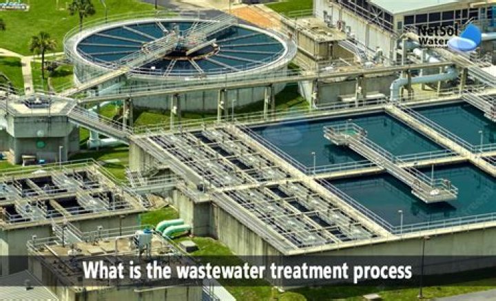 Which of the following is/are products of wastewater treatment?