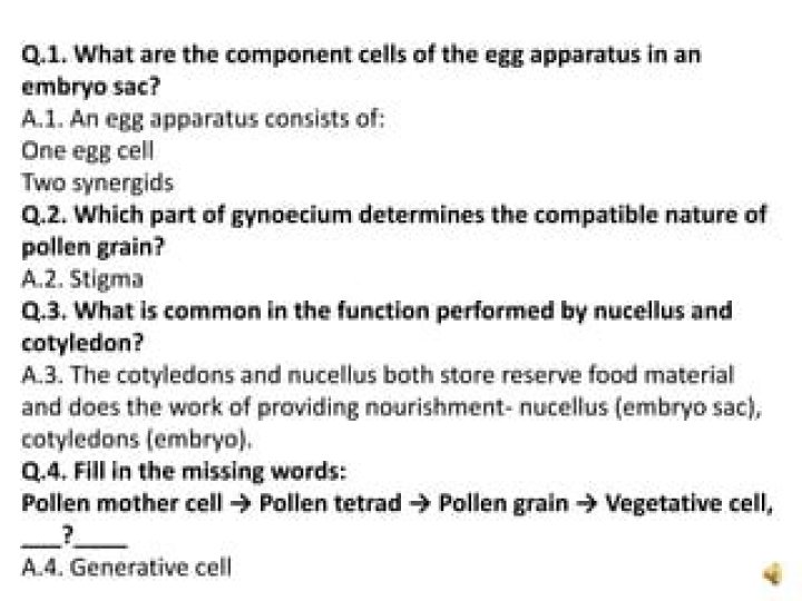 Which part of gynoecium determines?